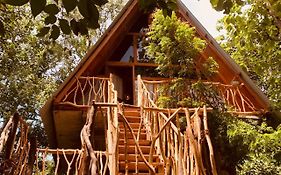Angry Birds Tree House
